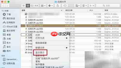 苹果电脑解压zip分卷文件