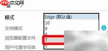 解决IE浏览器使用问题