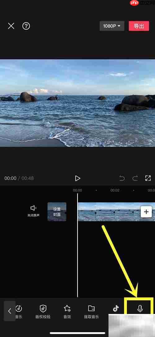 视频配音技巧：轻松添加录音