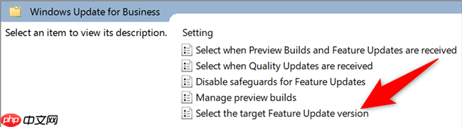 怎么阻止在Win10上安装Windows11更新?