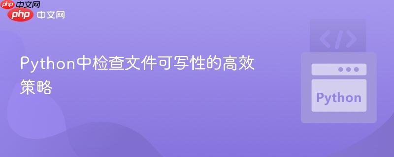 Python中检查文件可写性的高效策略