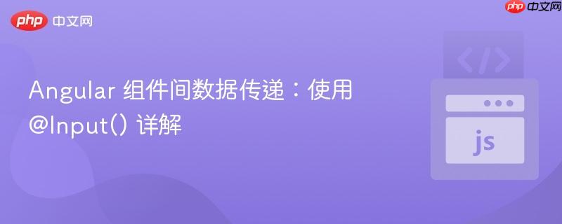 Angular 组件间数据传递：使用 @Input() 详解