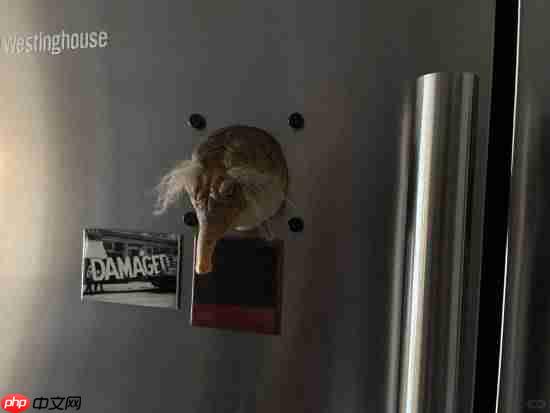 《黑神话:悟空》杨奇晒黄眉冰箱贴!有玩家称猎奇 感到害怕