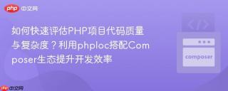 如何快速评估PHP项目代码质量与复杂度？利用phploc搭配Composer生态提升开发效率