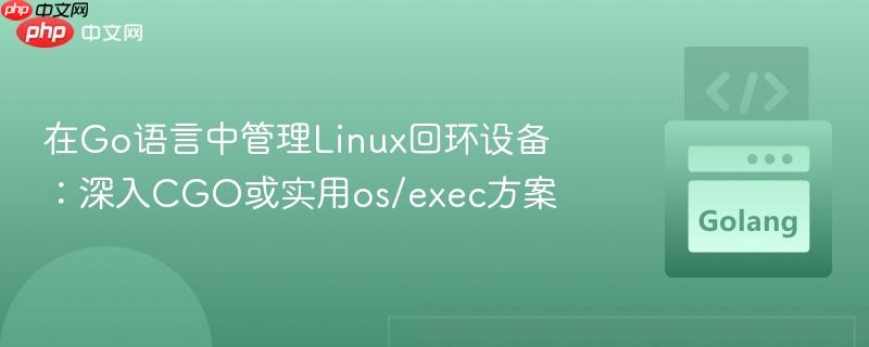 在Go语言中管理Linux回环设备：深入CGO或实用os/exec方案
