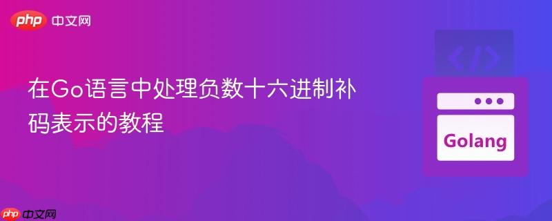 在Go语言中处理负数十六进制补码表示的教程