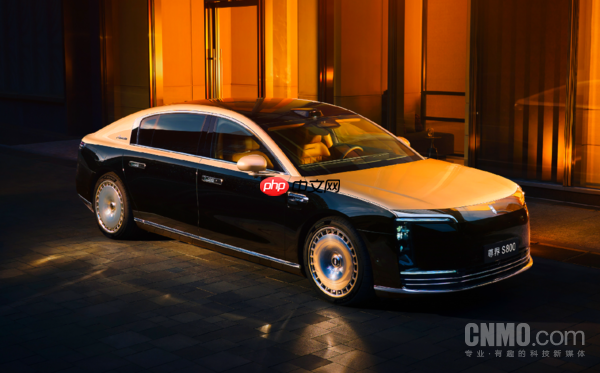 尊界S800联动德国奢侈手表品牌朗格!直指高端人群