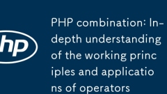Combinaison PHP: compréhension approfondie des principes de travail et applications des opérateurs