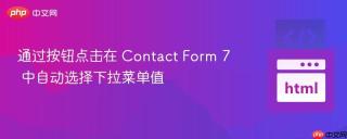 通过按钮点击在 Contact Form 7 中自动选择下拉菜单值