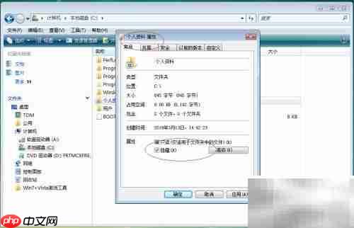 Vista资源管理器隐藏文件夹设置