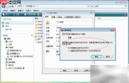 Vista资源管理器隐藏文件夹设置