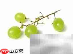 西药能否根治慢性前列腺炎