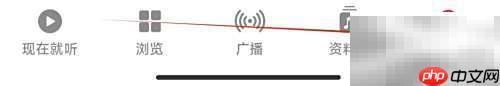 Apple Music隐私查看指南
