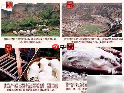 诺邓火腿藜麦焖饭