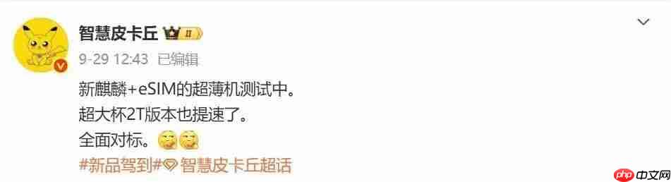  华为 Mate 80 或 11 月发，细节再曝 