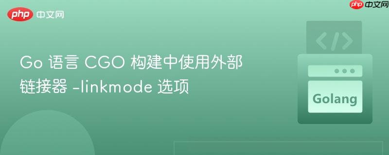 Go 语言 CGO 构建中使用外部链接器 -linkmode 选项