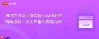 利用方法返回值实现Java循环的精确控制：以用户输入校验为例