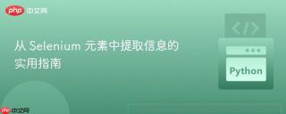 从 Selenium 元素中提取信息的实用指南