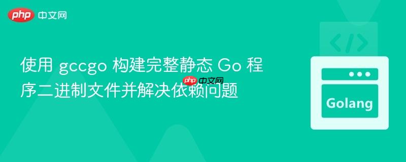 使用 gccgo 构建完整静态 Go 程序二进制文件并解决依赖问题
