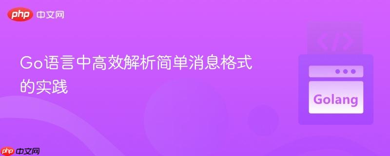 Go语言中高效解析简单消息格式的实践