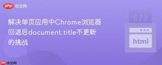解决单页应用中Chrome浏览器回退后document.title不更新的挑战