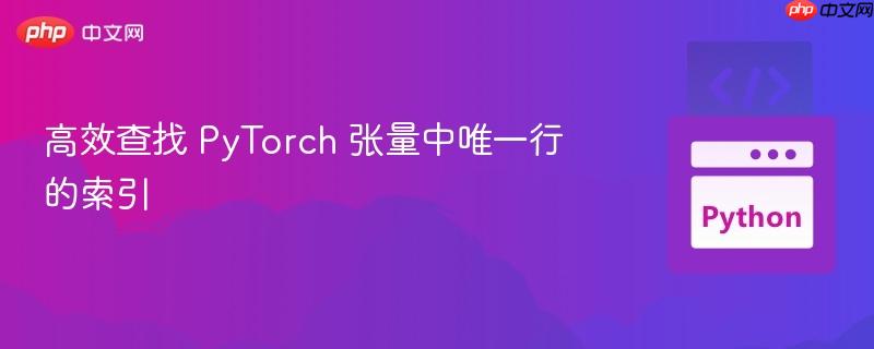 高效查找 pytorch 张量中唯一行的索引