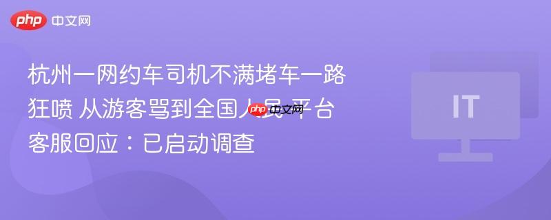 杭州一网约车司机不满堵车一路狂喷 从游客骂到全国人民 平台客服回应：已启动调查