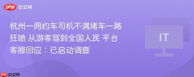 杭州一网约车司机不满堵车一路狂喷 从游客骂到全国人民 平台客服回应:已启动调查 - php中文网