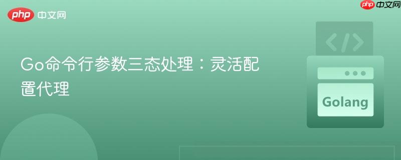 Go命令行参数三态处理：灵活配置代理