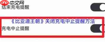 比亚迪王朝app充电提示如何关闭