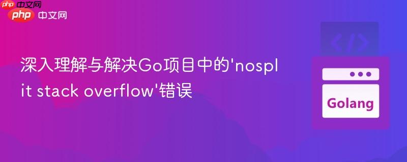 深入理解与解决Go项目中的'nosplit stack overflow'错误