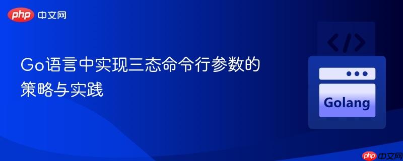 Go语言中实现三态命令行参数的策略与实践