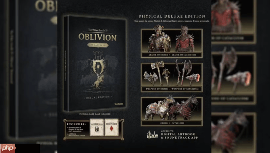 《上古卷轴4RE》实体版仍需下载内容 遭到玩家批评