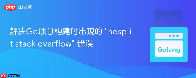 解决Go项目构建时出现的 "nosplit stack overflow" 错误