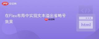 在Flex布局中实现文本溢出省略号效果