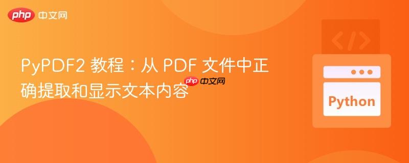 PyPDF2 教程:从 PDF 文件中正确提取和显示文本内容