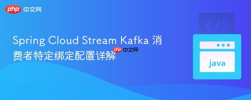 Spring Cloud Stream Kafka 消费者特定绑定配置详解