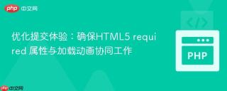 优化提交体验:确保HTML5 required 属性与加载动画协同工作