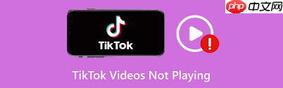 TikTok无法上传视频怎么办