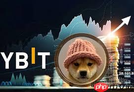 wif币未来潜力怎么样