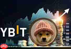 wif币未来潜力怎么样