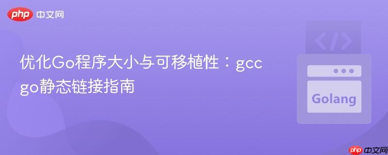 优化Go程序大小与可移植性：gccgo静态链接指南