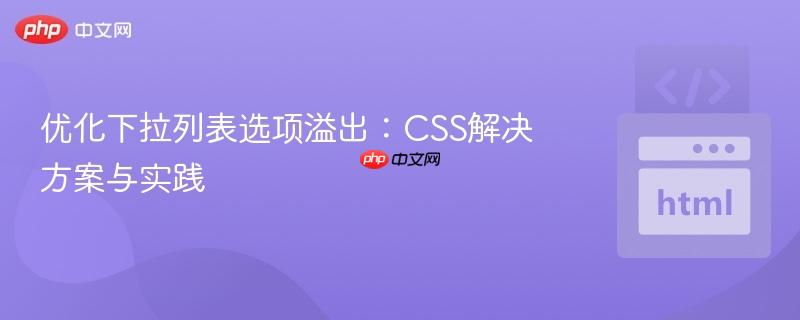 优化下拉列表选项溢出:CSS解决方案与实践