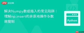解决Numpy数组插入的常见陷阱:理解np.insert的非原地操作与数据复制