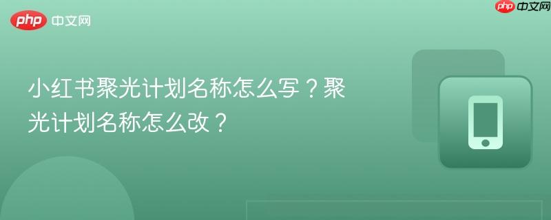 小红书聚光计划名称怎么写?聚光计划名称怎么改?