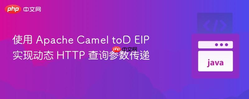 使用 apache camel tod eip 实现动态 http 查询参数传递
