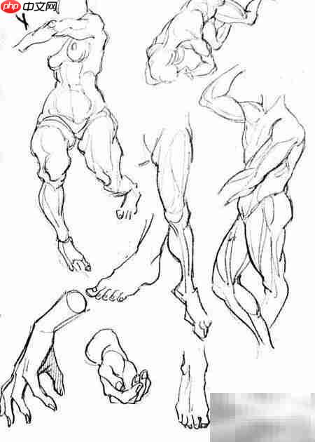 速写自学入门指南