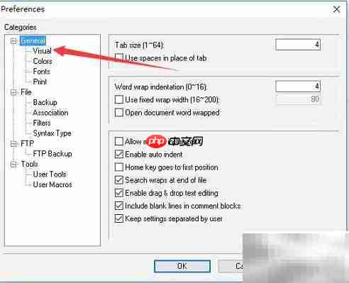 Crimson Editor斜体注释设置方法
