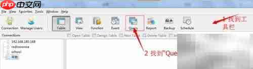Navicat SQL编写技巧