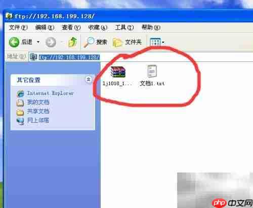 如何访问FTP并打开文件